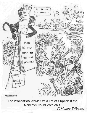 1925 Cartoon: 'The Proposition [Man is not related to the monkey] Would Get a Lot of Support If Monkeys Could Vote on It'