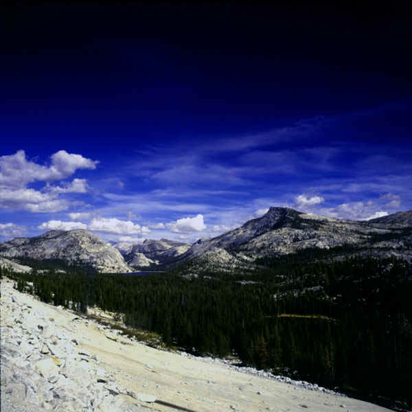 Yosemite004.jpg (80633 bytes)