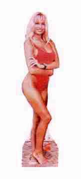 Standup model of Pam Anderson on Baywatch sold by HSS